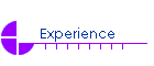 Experience